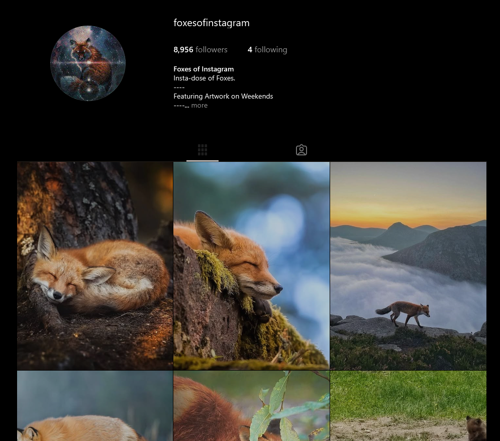 Visit Fox & Ember on Instagram